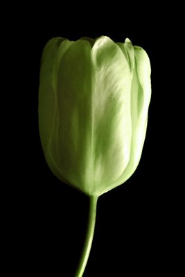 File gốc File tranh đứng lối vào TD2834 (phong cách) châu Âu