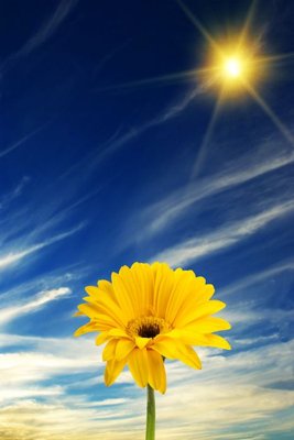 File tranh File tranh đứng lối vào TD2944 (gốc) chủ đề thành phố