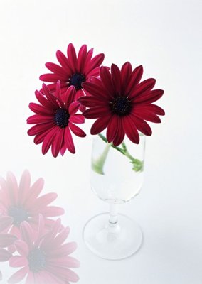 File PSD File tranh đứng lối vào TD2963 (bản gốc) độ phân giải cao