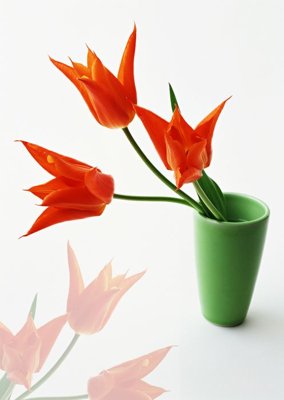 Tải về file gốc File tranh đứng lối vào TD2965 (chuẩn in ấn)