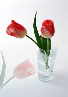 Ảnh gốc file in lụa File tranh đứng lối vào TD2967 chi tiết