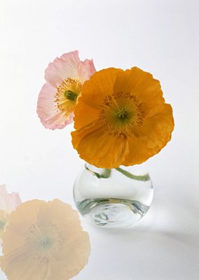 Tải file File tranh đứng lối vào TD2968 (gốc) in trên mọi chất liệu