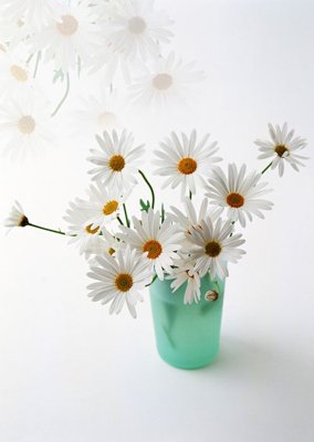 File gốc File tranh đứng lối vào TD2969 (ảnh chi tiết) để in lụa