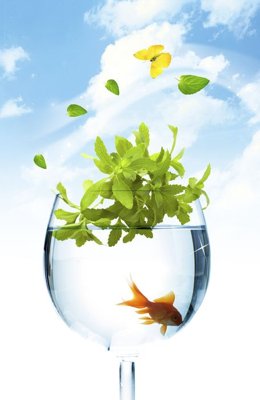 File tranh File tranh đứng lối vào TD3019 (ảnh gốc) in trần nhà