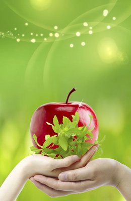 File gốc File tranh đứng lối vào TD3022 (phong cách) châu Âu