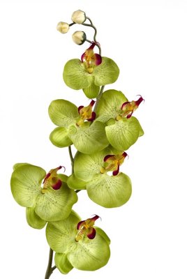 File ảnh File tranh đứng lối vào TD3039 (gốc) dùng in Pano