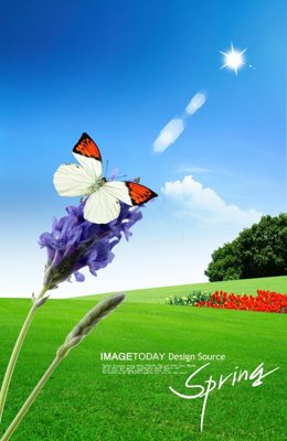 File tranh PSD File tranh đứng lối vào TD3049 chất lượng cao