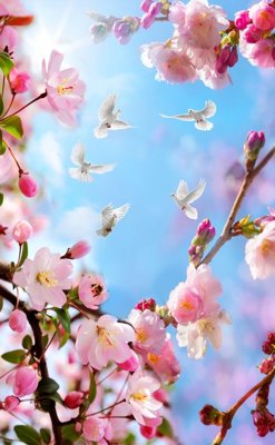 Hình ảnh gốc File tranh đứng lối vào TD3198 (để in khổ lớn)