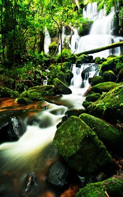 File gốc File tranh đứng lối vào TD3203 (ảnh rõ nét) để in