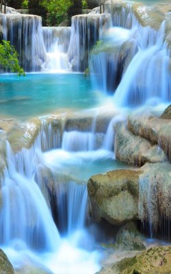 File tranh File tranh đứng lối vào TD3207 (gốc) chủ đề tĩnh vật