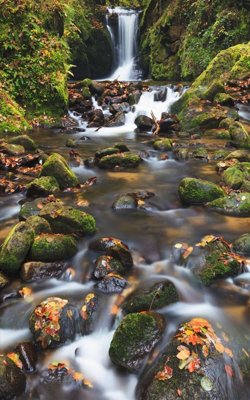 File ảnh File tranh đứng lối vào TD3220 (gốc) cho trang trí nhà hàng