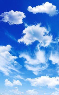 File gốc File tranh đứng lối vào TD3231 (AI/EPS) cho in ấn