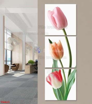 File ảnh File tranh bộ in tráng gương hiện đại TK825 (gốc) cho trang trí nội thất
