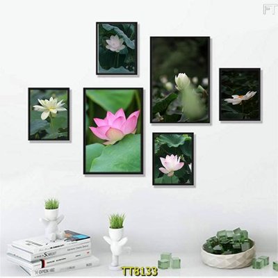 File tranh File tranh bộ 6 tấm TT80133 (ảnh gốc) sắc nét hoàn hảo