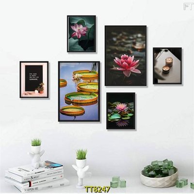 File in ấn File tranh bộ 6 tấm TT80247 (bản gốc) sắc nét