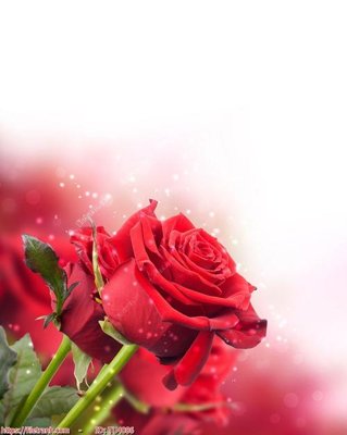 Cung cấp file tranh gốc File in tủ nhựa TU4086 độc quyền