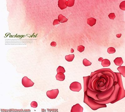 File gốc in ấn File in tủ nhựa TU4091 chất lượng vượt trội