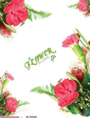 File tranh File in tủ nhựa TU4116 (gốc) in film