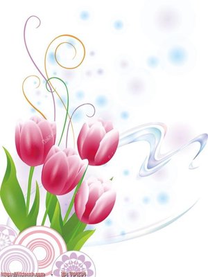 File in ấn File in tủ nhựa TU4154 chuyên nghiệp