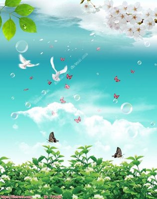 File gốc File in tủ nhựa TU4160 (PSD/TIFF) độ phân giải cao