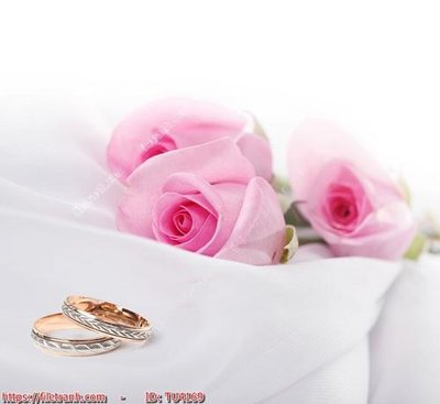 File ảnh File in tủ nhựa TU4169 (gốc) in standee