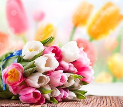 File tranh File in tủ nhựa TU4175 (gốc) in backlit film