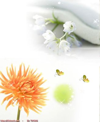 Tải về file tranh gốc File in tủ nhựa TU4316 (để in quảng cáo)