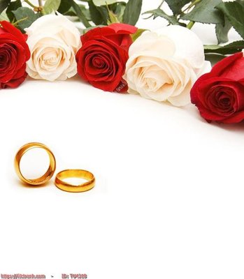 File gốc File in tủ nhựa TU4318 (phiên bản chuẩn) để in ấn