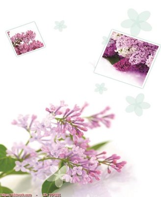 Tải file File in tủ nhựa TU4331 (gốc) làm tranh treo tường