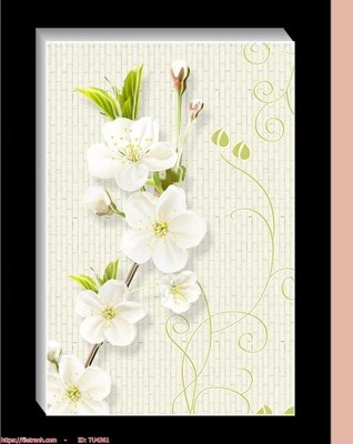 File PSD File in tủ nhựa TU4361 (gốc) tách lớp chi tiết