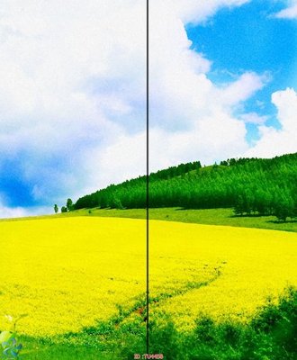 File tranh gốc File in tủ nhựa TU4458 (bản đẹp) độc quyền