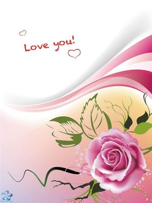 File in mica File in tủ nhựa TU4621 (bản gốc) làm vách ngăn