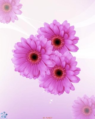 File gốc File in tủ nhựa TU4637 (cho in 3D) độc đáo