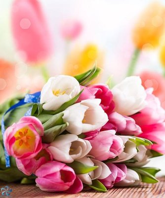 File gốc File in tủ nhựa TU4655 (in ấn) màu sắc trung thực