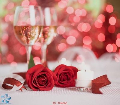 File gốc File in tủ nhựa TU4660 (ảnh chi tiết) để in lụa