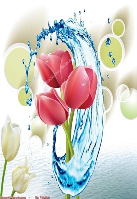 File in trần File in tủ nhựa TU5020 (file gốc) xuyên sáng