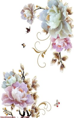 Download file File in tủ nhựa TU5054 (gốc) in mica bàn thờ