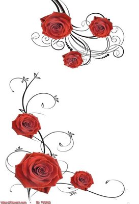 File tranh File in tủ nhựa TU5062 (bản gốc) trang trí văn phòng