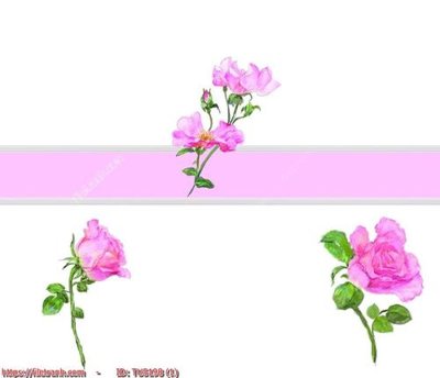 File PSD File in tủ nhựa TU5198 (nguyên gốc) chất lượng cao