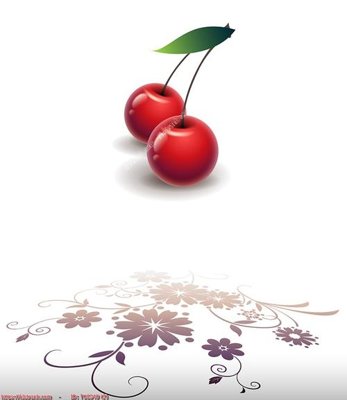 File in lụa File in tủ nhựa TU5340 (hoa văn) File in tủ nhựa TU5340