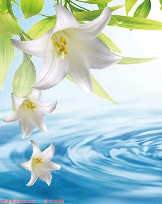 Tải file File in tủ nhựa TU5385 (ảnh gốc) độ phân giải 300dpi