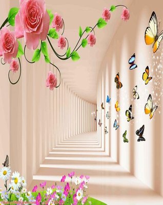 File in mica File in tủ nhựa TU5416 (ảnh gốc) đẹp