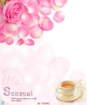 Tải file File in tủ nhựa TU5541 (ảnh gốc) 300dpi File in tủ nhựa TU5541