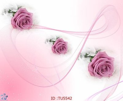 File tranh ảnh gốc File in tủ nhựa TU5542 dùng cho in khổ lớn