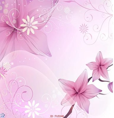 File PSD File in tủ nhựa TU5548 (nguyên bản) cho thiết kế