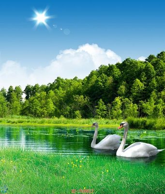 File tranh gốc in trần nhà File in tủ nhựa TU5617 3D