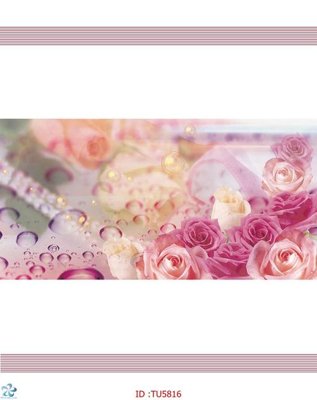 File tranh File in tủ nhựa TU5816 (ảnh gốc) cho in ấn kỹ thuật số