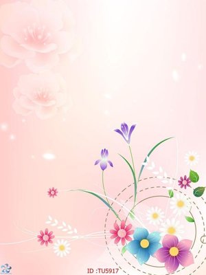 File tranh File in tủ nhựa TU5917 (ảnh gốc) in trần xuyên sáng