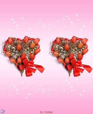 File tranh File in tủ nhựa TU5941 (gốc) in film