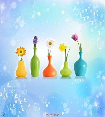 File gốc File in tủ nhựa TU5946 (in tráng gương) ốp tường